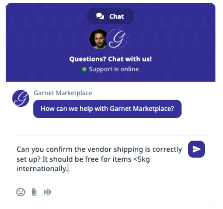 chat widget