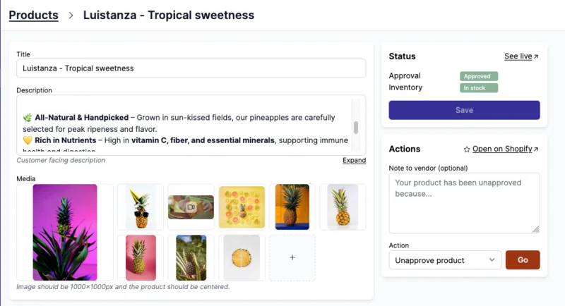 user experience overview